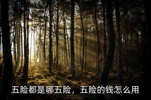 五險都是哪五險，五險的錢怎么用