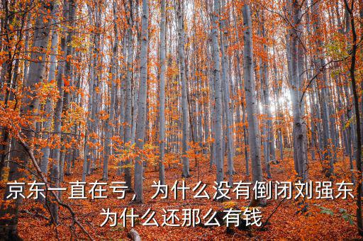 京東一直在虧，為什么沒有倒閉劉強(qiáng)東為什么還那么有錢