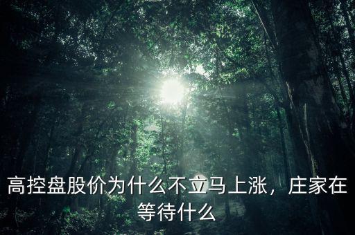 高控盤(pán)股價(jià)為什么不立馬上漲，莊家在等待什么