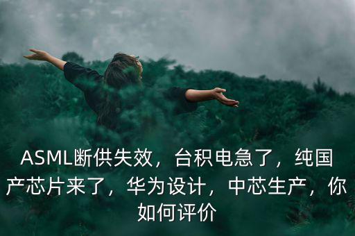 ASML斷供失效，臺積電急了，純國產(chǎn)芯片來了，華為設(shè)計，中芯生產(chǎn)，你如何評價