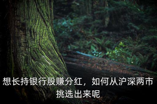 想長持銀行股賺分紅，如何從滬深兩市挑選出來呢