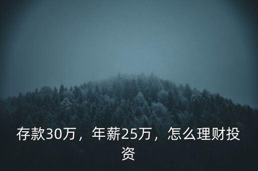 存款30萬，年薪25萬，怎么理財投資
