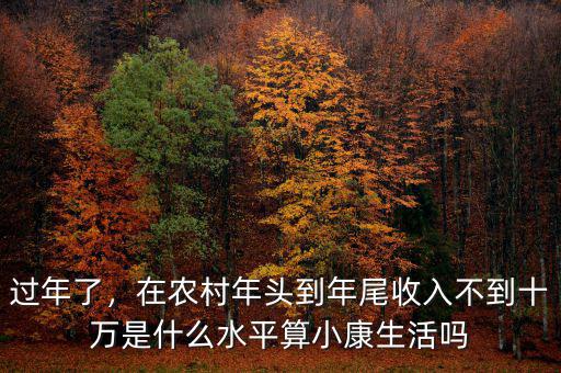 過年了，在農(nóng)村年頭到年尾收入不到十萬(wàn)是什么水平算小康生活嗎