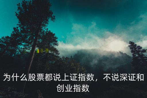 為什么股票都說(shuō)上證指數(shù)，不說(shuō)深證和創(chuàng)業(yè)指數(shù)