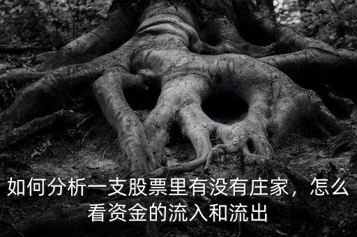 如何分析一支股票里有沒有莊家，怎么看資金的流入和流出