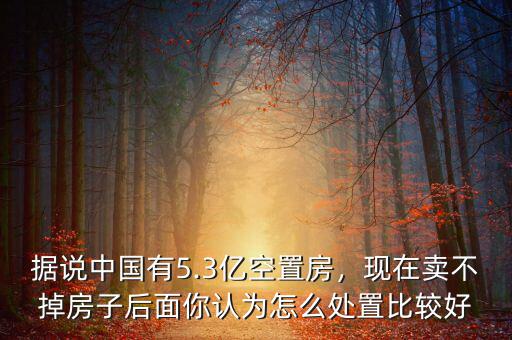 據(jù)說中國有5.3億空置房，現(xiàn)在賣不掉房子后面你認為怎么處置比較好