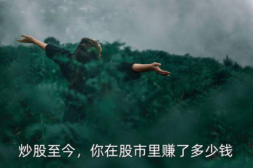 炒股至今，你在股市里賺了多少錢