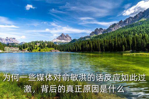 為何一些媒體對(duì)俞敏洪的話反應(yīng)如此過激，背后的真正原因是什么