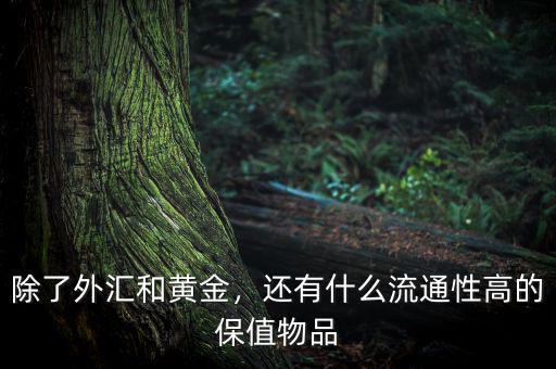 除了外匯和黃金，還有什么流通性高的保值物品