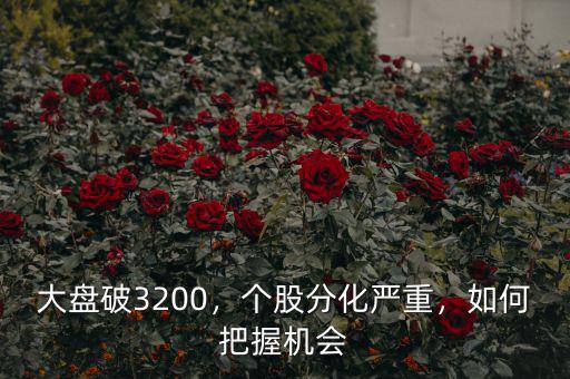 大盤破3200，個(gè)股分化嚴(yán)重，如何把握機(jī)會(huì)