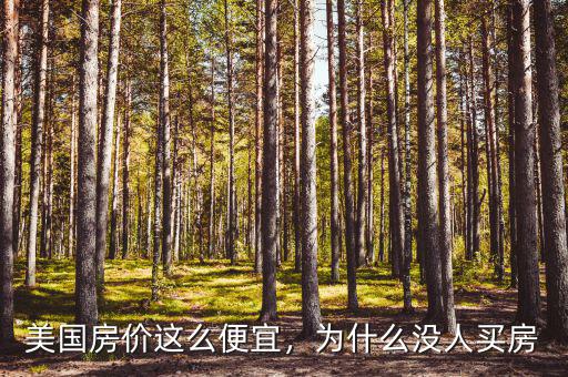 美國(guó)房?jī)r(jià)這么便宜，為什么沒(méi)人買(mǎi)房