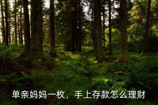 單親媽媽一枚，手上存款怎么理財(cái)