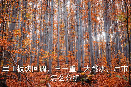 軍工板塊回調(diào)，三一重工大跳水，后市怎么分析