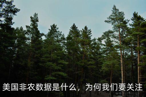 美國(guó)非農(nóng)數(shù)據(jù)是什么，為何我們要關(guān)注