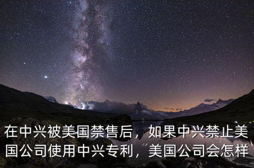 在中興被美國禁售后，如果中興禁止美國公司使用中興專利，美國公司會怎樣
