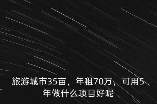 旅游城市35畝，年租70萬，可用5年做什么項(xiàng)目好呢