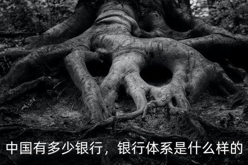 中國有多少銀行，銀行體系是什么樣的