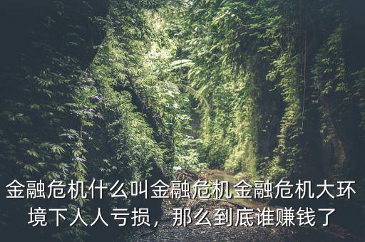 金融危機(jī)什么叫金融危機(jī)金融危機(jī)大環(huán)境下人人虧損，那么到底誰(shuí)賺錢(qián)了