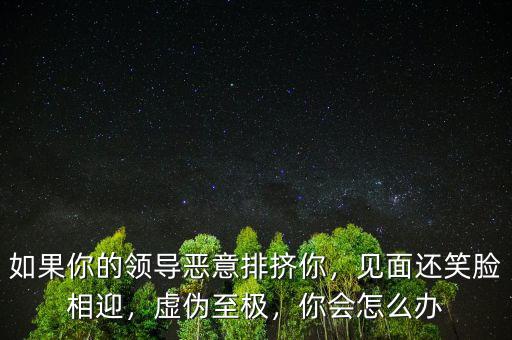 如果你的領(lǐng)導(dǎo)惡意排擠你，見(jiàn)面還笑臉相迎，虛偽至極，你會(huì)怎么辦