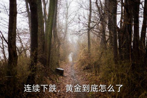 連續(xù)下跌，黃金到底怎么了