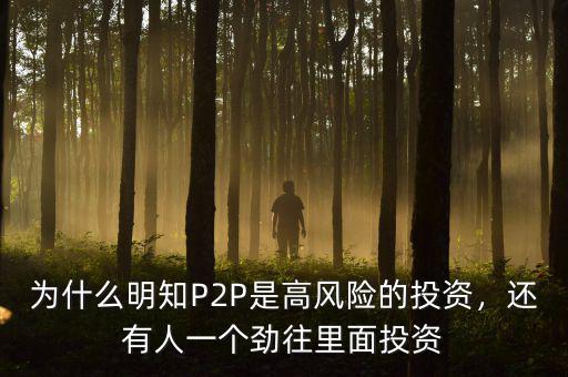 為什么明知P2P是高風險的投資，還有人一個勁往里面投資