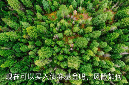現(xiàn)在可以買入債券基金嗎，風(fēng)險(xiǎn)如何