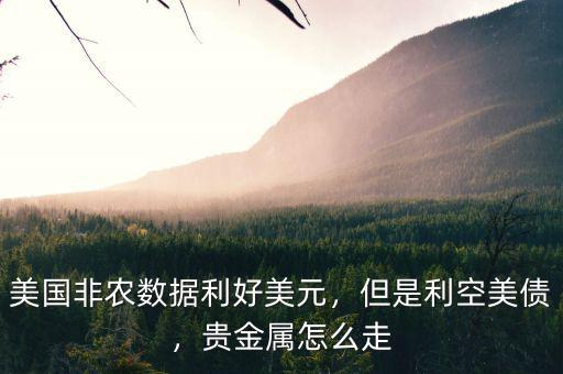 美國(guó)非農(nóng)數(shù)據(jù)利好美元，但是利空美債，貴金屬怎么走