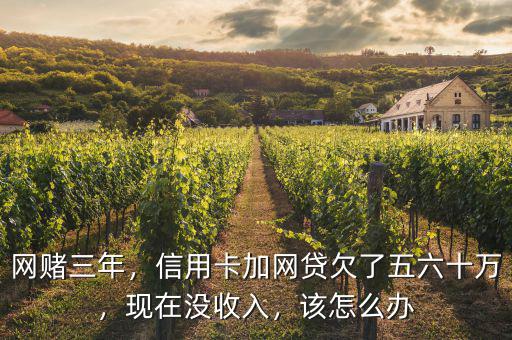 網(wǎng)賭三年，信用卡加網(wǎng)貸欠了五六十萬(wàn)，現(xiàn)在沒收入，該怎么辦