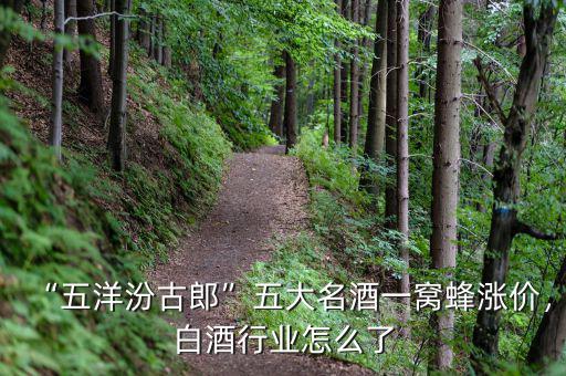 “五洋汾古郎”五大名酒一窩蜂漲價，白酒行業(yè)怎么了