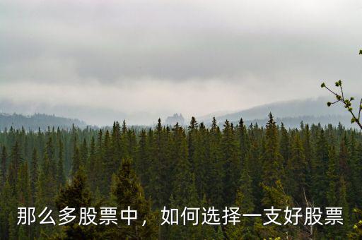那么多股票中，如何選擇一支好股票