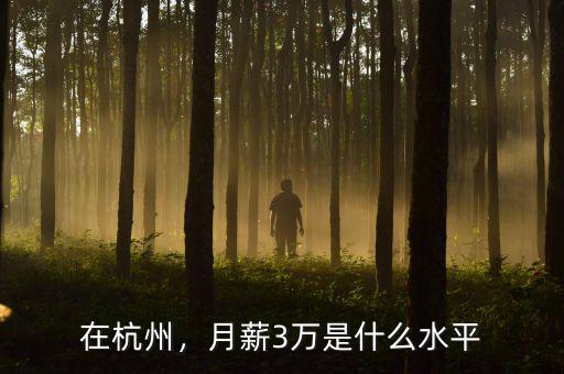 在杭州，月薪3萬(wàn)是什么水平