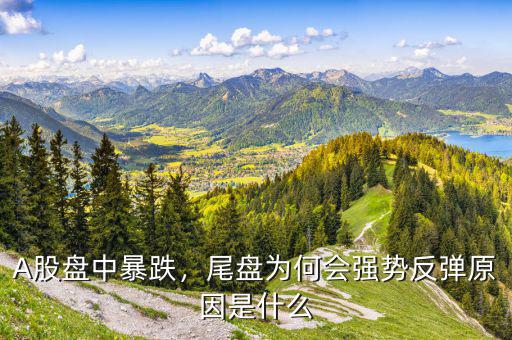 A股盤中暴跌，尾盤為何會強勢反彈原因是什么