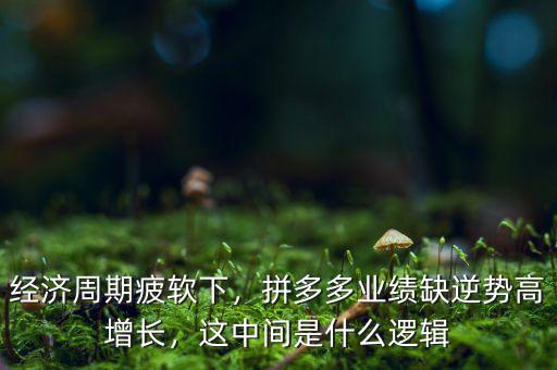 經(jīng)濟(jì)周期疲軟下，拼多多業(yè)績?nèi)蹦鎰莞咴鲩L，這中間是什么邏輯