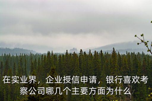 在實(shí)業(yè)界，企業(yè)授信申請(qǐng)，銀行喜歡考察公司哪幾個(gè)主要方面為什么