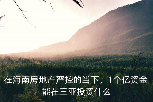在海南房地產(chǎn)嚴(yán)控的當(dāng)下，1個(gè)億資金能在三亞投資什么