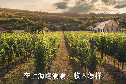 在上海跑滴滴，收入怎樣