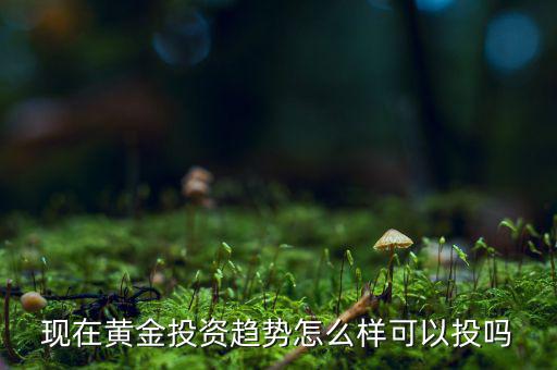 現在黃金投資趨勢怎么樣可以投嗎