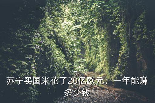 蘇寧買(mǎi)國(guó)米多少股份,蘇寧買(mǎi)國(guó)米花了20億歐元