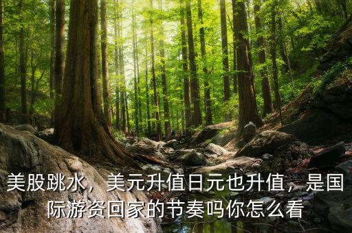 美股跳水，美元升值日元也升值，是國際游資回家的節(jié)奏嗎你怎么看
