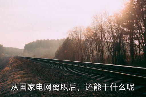 從國(guó)家電網(wǎng)離職后，還能干什么呢