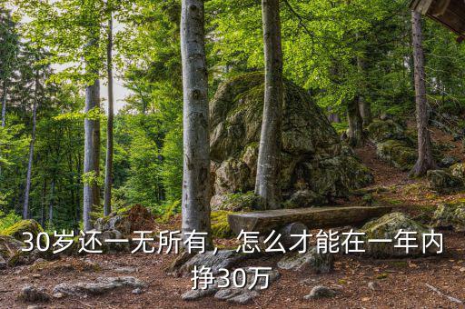 30歲還一無所有，怎么才能在一年內(nèi)掙30萬