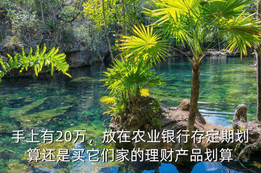手上有20萬，放在農(nóng)業(yè)銀行存定期劃算還是買它們家的理財產(chǎn)品劃算