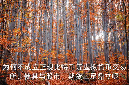 為何不成立正規(guī)比特幣等虛擬貨幣交易所，使其與股市、期貨三足鼎立呢