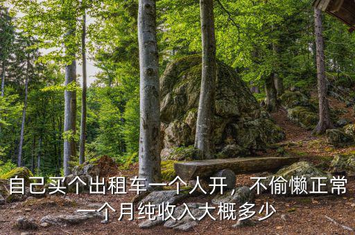 自己買個(gè)出租車一個(gè)人開，不偷懶正常一個(gè)月純收入大概多少