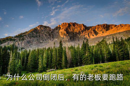 為什么公司倒閉后，有的老板要跑路