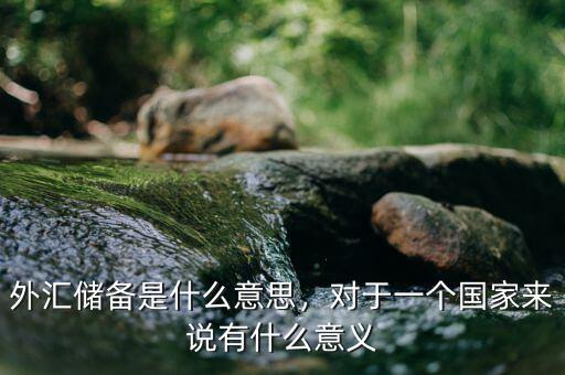 外匯儲(chǔ)備是什么意思，對(duì)于一個(gè)國(guó)家來(lái)說(shuō)有什么意義
