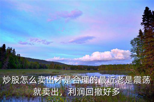 炒股怎么賣出才是合理的最近老是震蕩就賣出，利潤回撤好多