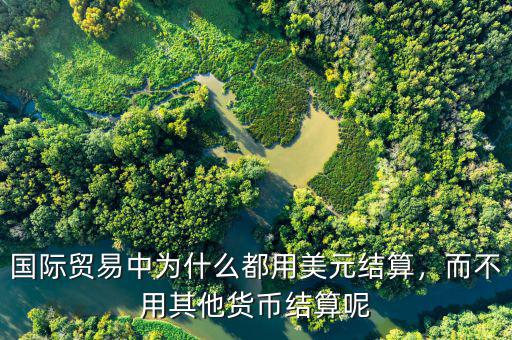 國際貿(mào)易中為什么都用美元結(jié)算，而不用其他貨幣結(jié)算呢