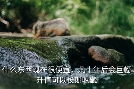 什么東西現(xiàn)在很便宜，幾十年后會巨幅升值可以長期收藏