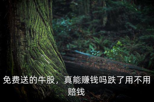 免費(fèi)送的牛股，真能賺錢嗎跌了用不用賠錢